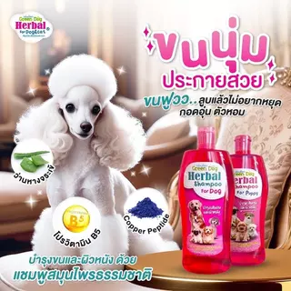 แชมพูสมุนไพรเพื่อสุนัข Green dog herbal shampoo for dog