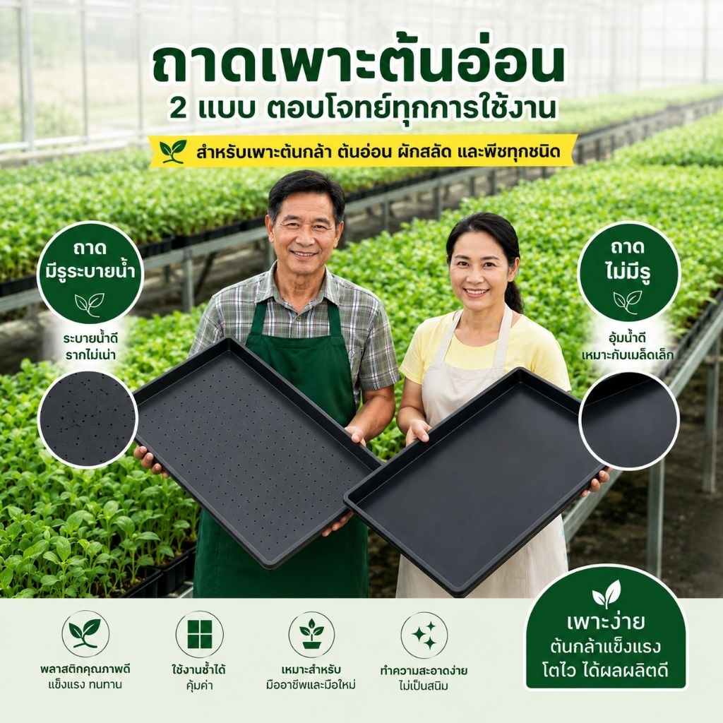ถาดเพาะต้นอ่อนสีดำ มี 2 แบบ มีรูและไม่มีรู ขนาด 60*30 CM เหมาะสำหรับเพาะต้นอ่อนทุกชนิด แบบมีรู