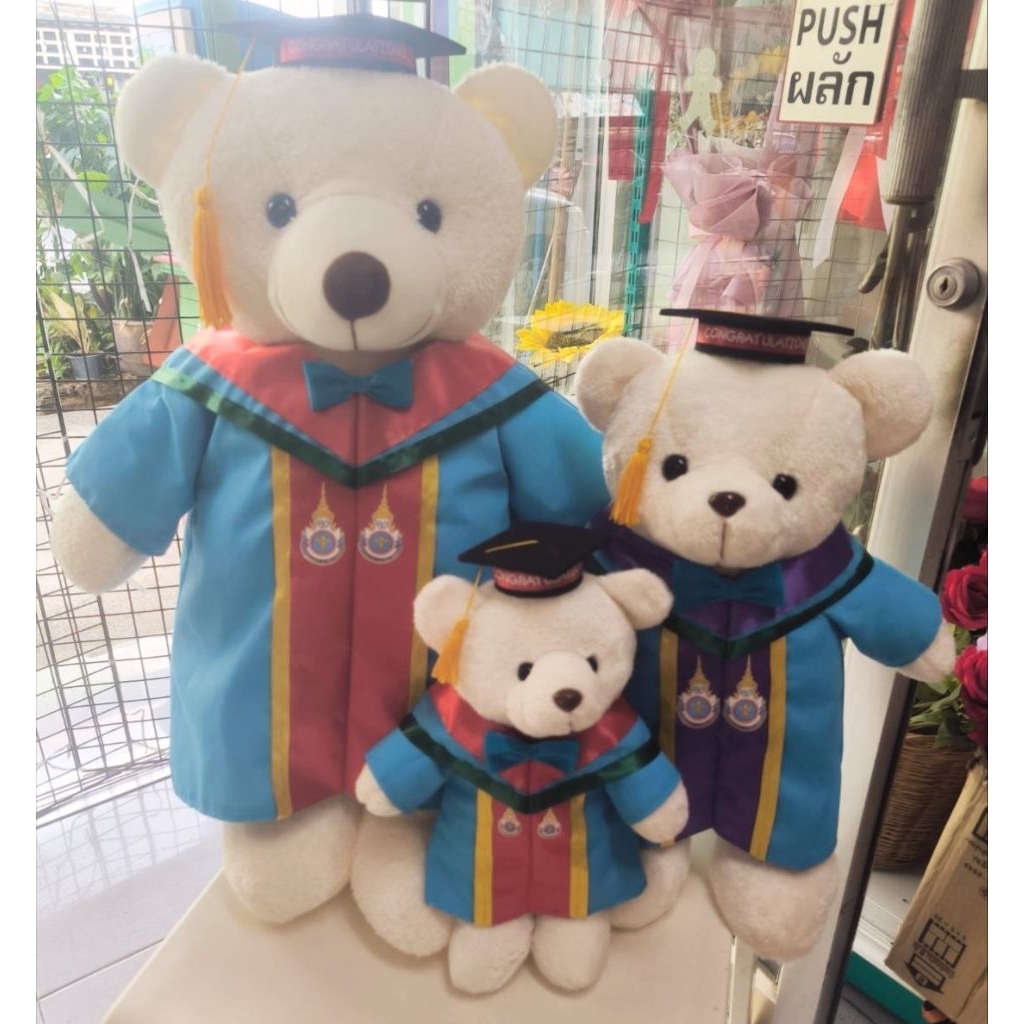 หมีรับปริญญาสถาบันพระบรมราชชนก (มีถุงตาข่ายผูกโบว์ให้ด้วยค่ะ)