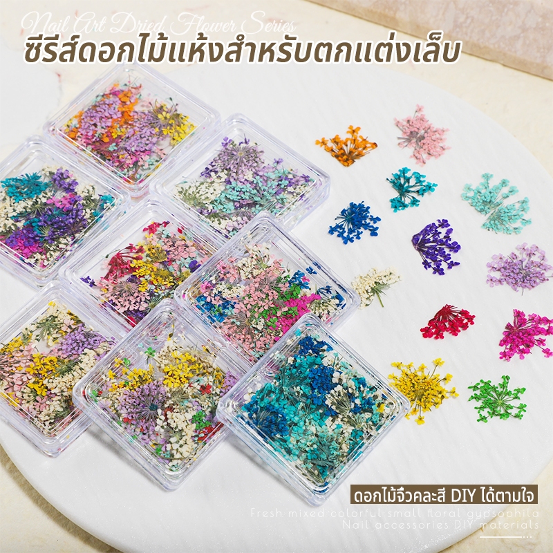 Nawoelite  แผ่นแปะเล็บ ของตกแต่งเล็บดอกไม้แห้ง อกไม้แห้งแปะเล็บ ชุดตกแต่งเล็บดอกไม้แห้ง