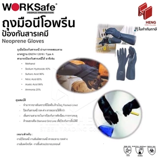 ถุงมือนีโอพรีนกันสารเคมี Worksafe Neoprene Gloves (1 คู่)