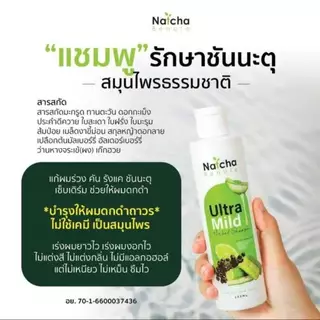 แชมพูอัลตร้ามายด์ แก้คัน รังแค เชื้อราหนังศีรษะ สเก็ตเงิน บำรุงผมให้ดกดำ