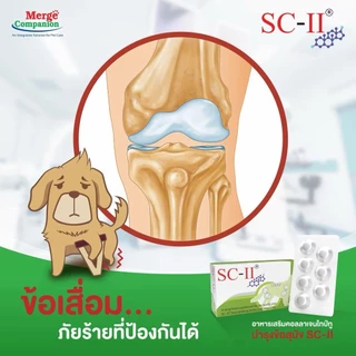 SC-II joint อาหารเสริมบำรุงข้อ สำหรับสุนัข 1 กล่อง บรรจุ 28 เม็ด