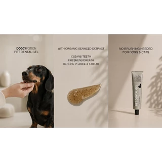 Doggy Potion Pet Dental Gel 55g