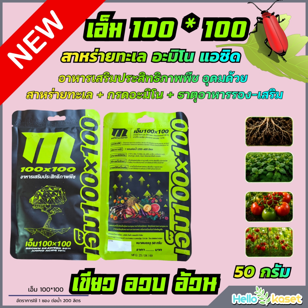 สาหร่าย อะมิโน เข้มข้น เอ็ม100*100 บำรุงพืชช่วยเจริญเติบโต แอซิด ราก แขนง ดอก ขนาด 50 กรัม