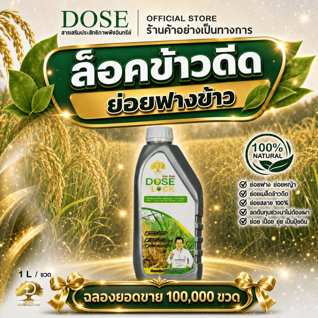 [ร้านค้าบริษัท]โดสล็อค กำจัดข้าวดีดข้าวเด้ง ย่อยฟางข้าว ฟื้นฟูบำรุงดิน รับประกันเห็นผล  (ส่งไว)