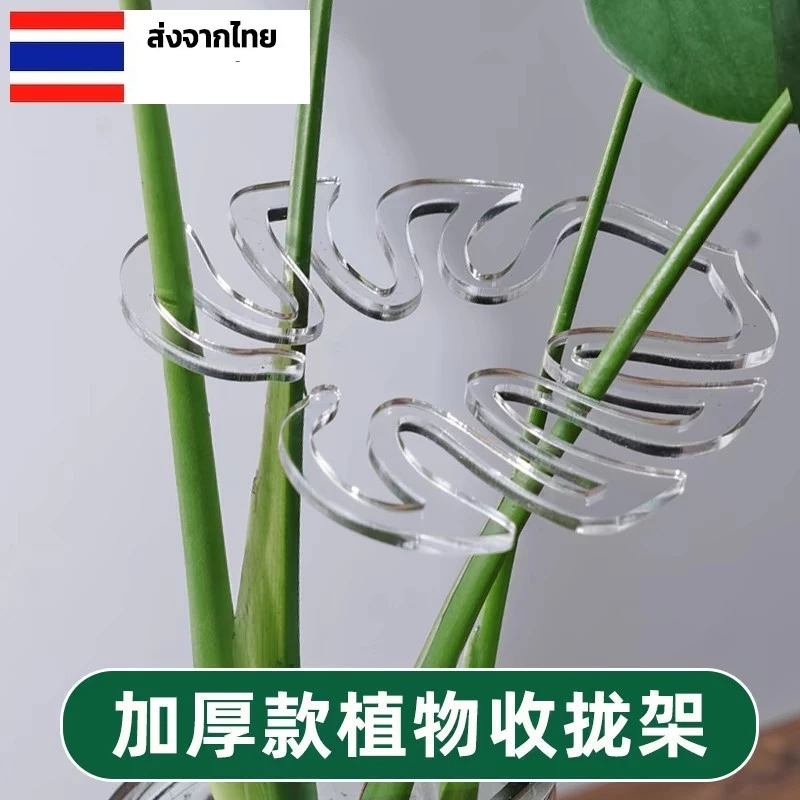 ชุดค้ำพยุงกิ่งต้นไม้มอนสเตอราพืชใบใหญ่กันล้มจัดทรงกิ่งดอกไม้ไม้ประดับในบ้าน