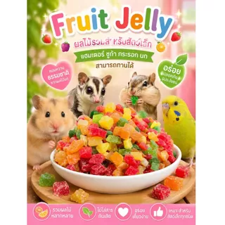 [HiHamster]ผลไม้รวม Fruit Jelly สำหรับสัตว์เล็ก ขนมแฮมสเตอร์ ชูก้า กระรอก นก ขนมเสริม เคี้ยวเล่น