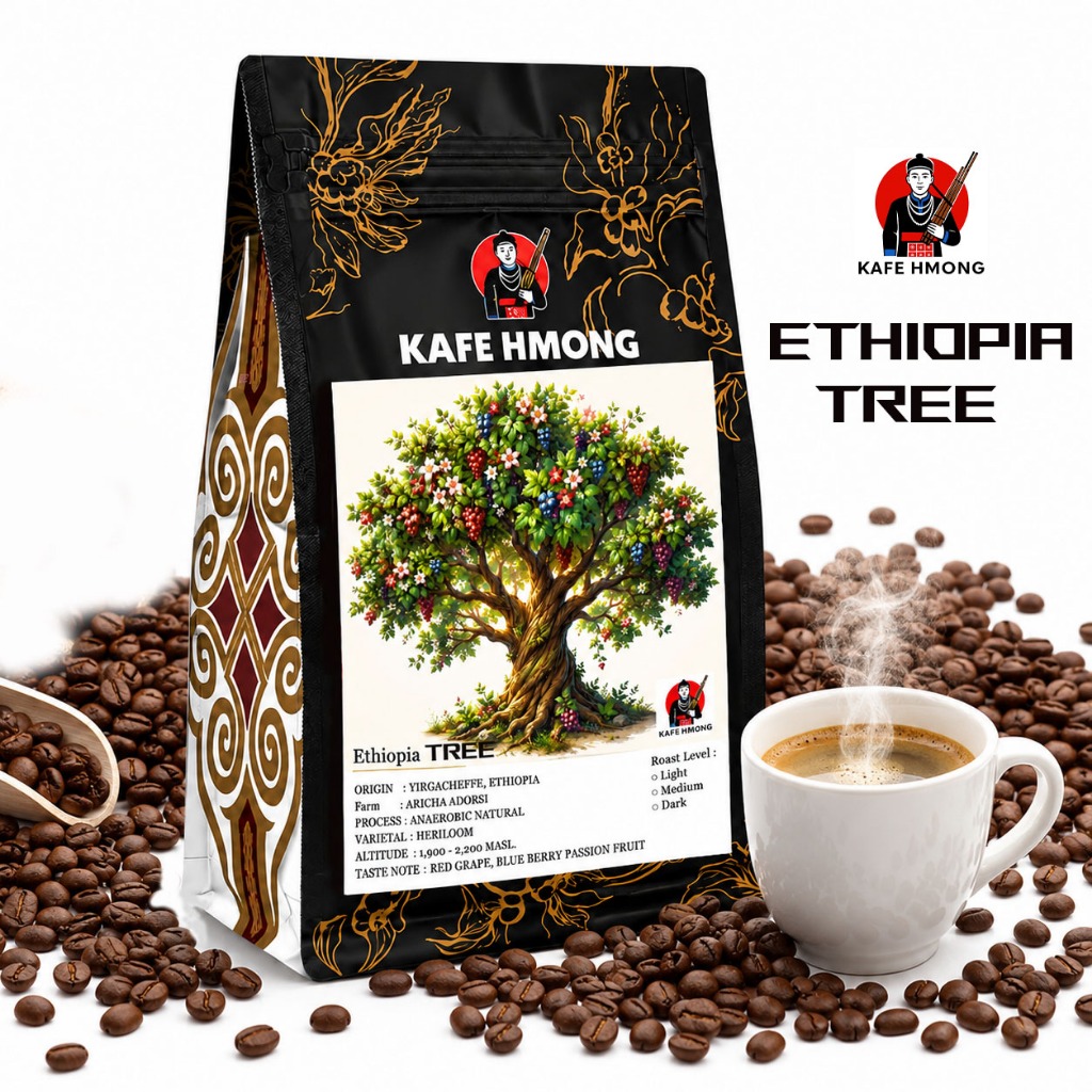 เมล็ดกาแฟคั่้ว Ethiopia tree เมล็ดกาแฟสด คั่วอ่อน กลาง เข้ม บอดี้สมดุลพอดี อร่อยๆหอมๆ