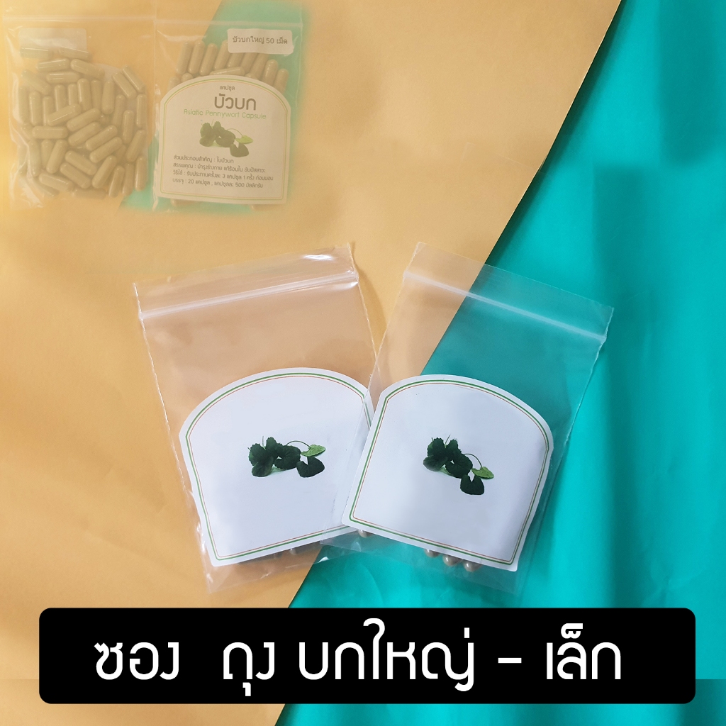 ถุงซิป บกเล็ก บกใหญ่ พร้อมส่งจากไทย ร้านไทย ของแท้