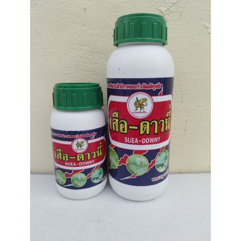 พยัคฆ์ติดปีก เสือดาวนี่  กำจัดโรคพืช