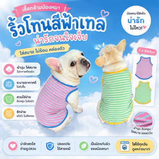 🇹🇭พร้อมส่ง🇹🇭 เสื้อแมว เสื้อหมา ลายริ้วสุดคลาสสิก น่ารัก เรียบง่าย ใส่ได้ทุกโอกาส