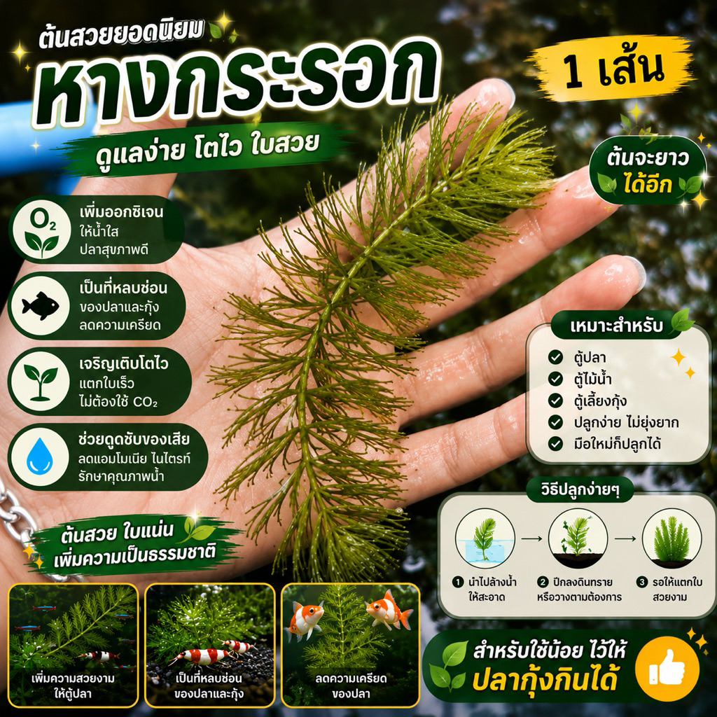 🌿หางกระรอก 🌳(1 เส้น ) สำหรับใช้ไม่เยอะเอาลอยน้ำ