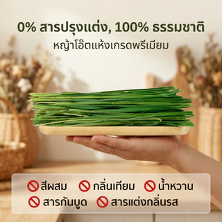 หญ้าโอ้ตอบลมร้อน Oat Hay 250g คัดเกรดพรีเมี่ยม หอมเขียวนุ่มแสนอร่อยมีวิตามินเอสูง อาหารสัตว์เล็ก