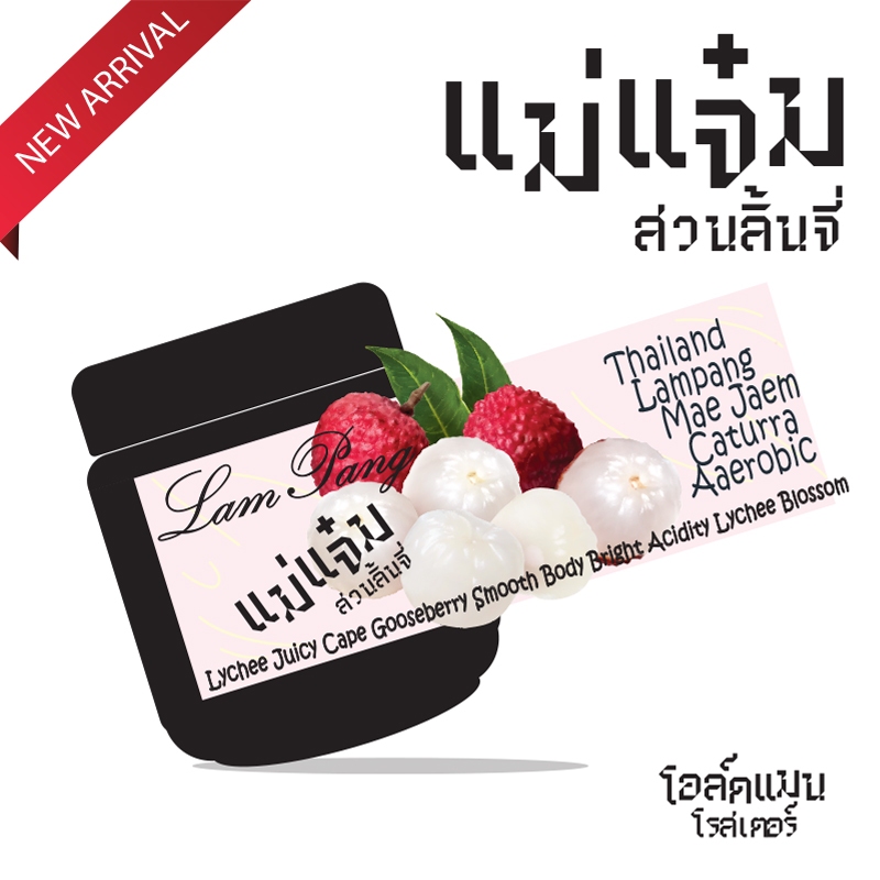 เมล็ดกาแฟ " แม่แจ๋ม สวนลิ้นจี่ " THAILAND LAMPANG MAE JAEM {Lychee Garden} (คั่วอ่อน) LIGHT ROAST by OLDMAN ROASTER