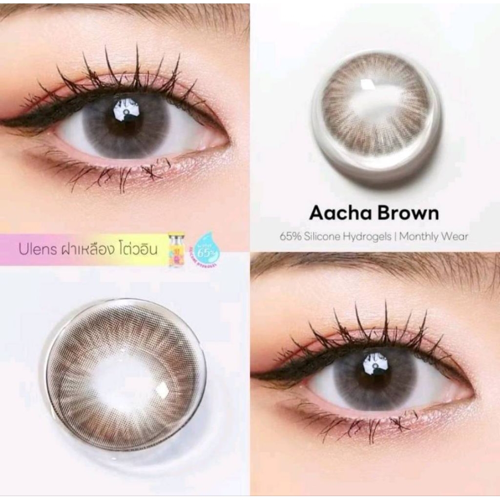 คอนแทคเลนส์ลาย AACHA Brown สีน้ำตาล ขนาดตาโต เลนส์ 14.5 mm ค่าอมน้ำ 65% รายเดือน ( U Lens )