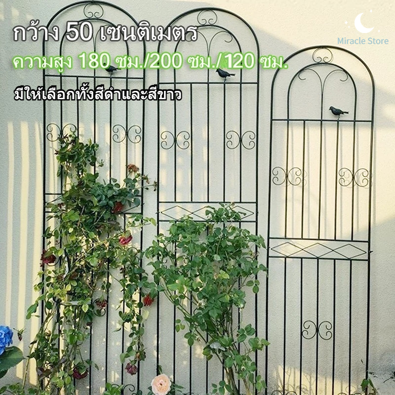 【จัดส่งจากกรุงเทพฯ】 24ชมจัดส่ง🚚ขาตั้งดอกไม้เหล็ก โครงไม้เลื้อย ซุ้มต้นไม้ รั้วสวนกลางแจ้ง ตกแต่งสวนสไตล์มินิมอล