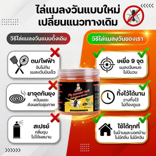 🦟แมลงวันหายเกลี้ยงใน 24 ชั่วโมง🚫ไล่แมลงวัน กำจัดแมลงวัน ผงไข่เน่า ฆ่าแมลงวัน 🇯🇵 สูตรนำเข้าจากญี่ปุ่น