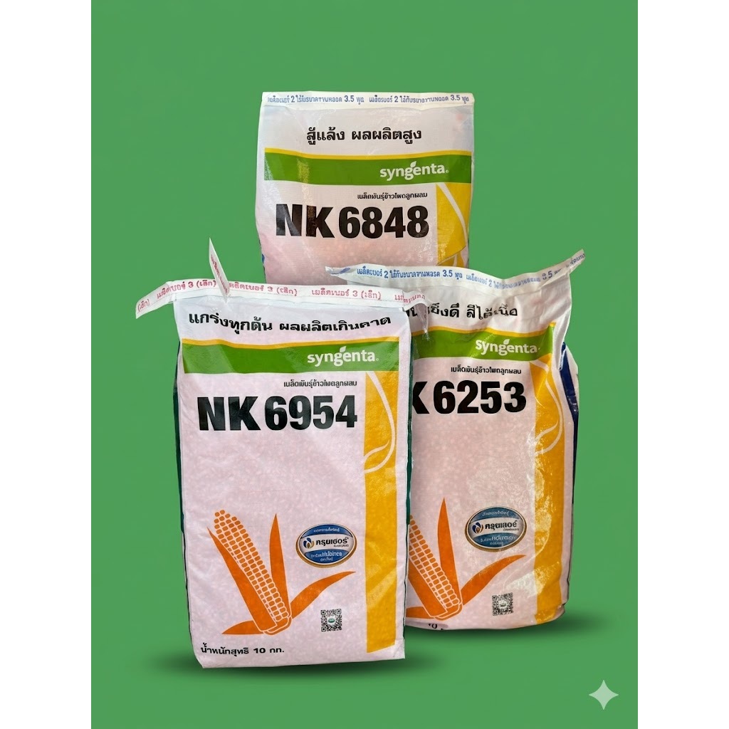 เมล็ดพันธุ์ข้าวโพด NK6954 NK6253 NK6848 (เมล็ด 3.5หุน เบอร์2/ขนาด 3.0หุน เบอร์3)  บรรจุ 10 กก.ซินเจนทา