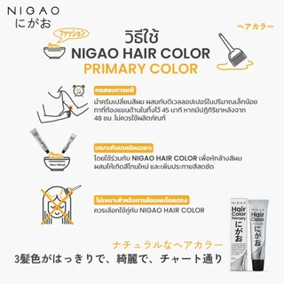 [ไม่แถม Developer] NIGAO Hair Color 0.22 Ash 30 mL l นิกาโอะ แม่สีม่วง สีย้อมผม