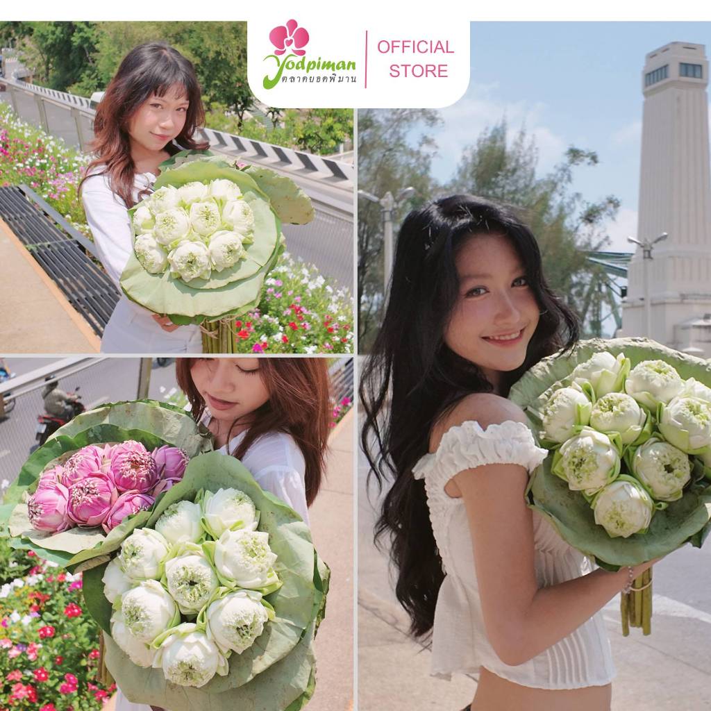 บัวขาว ช่อดอกบัวพับใหญ่ 10 ดอก 19 ดอก สีขาว ส่งตรงจากปากคลองตลาด ส่งด่วน กทม.209LW009
