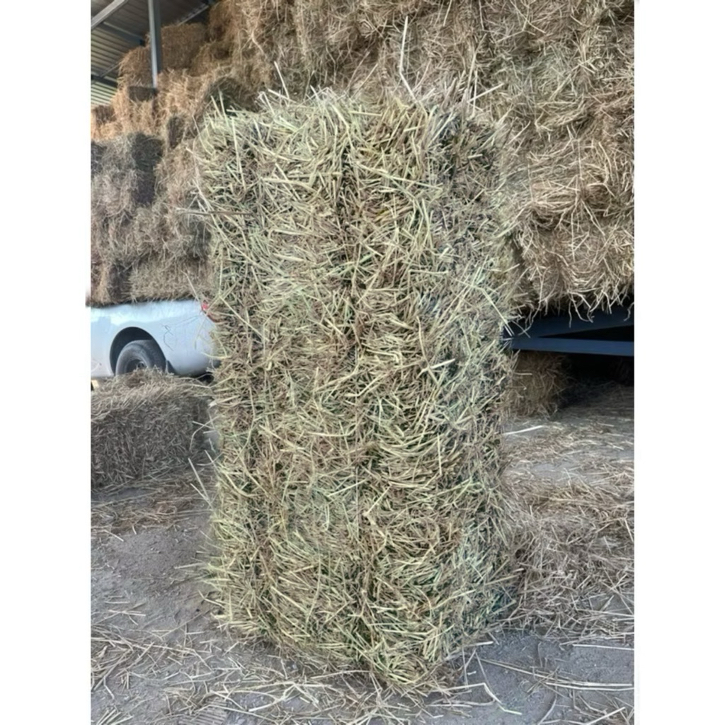 ฟางข้าวแห้งๆ เขียวๆขนาดแบ่งขาย  2kg ⌛️🌾🌾ฟางข้าวคลุมหน้าดิน ราคาถูก Shopee Lazada