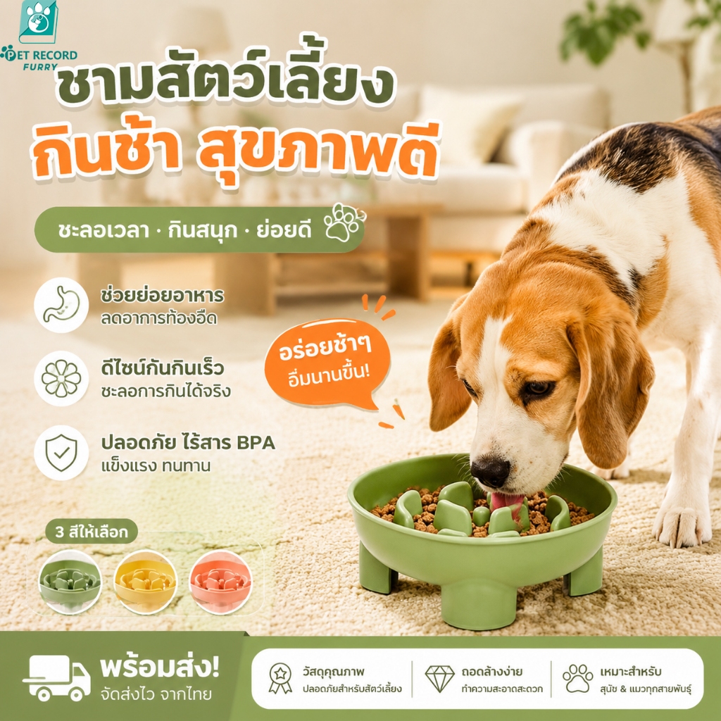 【Pet Record】 ชามอาหารช้า Slow Feeder สำหรับแมวสุนัข 3 สี ป้องกันสำลัก ฝึกกินช้า ป้องกันลื่น