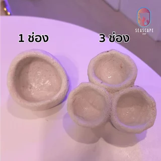 บ้านแอนเล็ก ปลาการ์ตูน ช่วยให้แอนนมไม่เดิน 1ช่องและ 3ช่อง