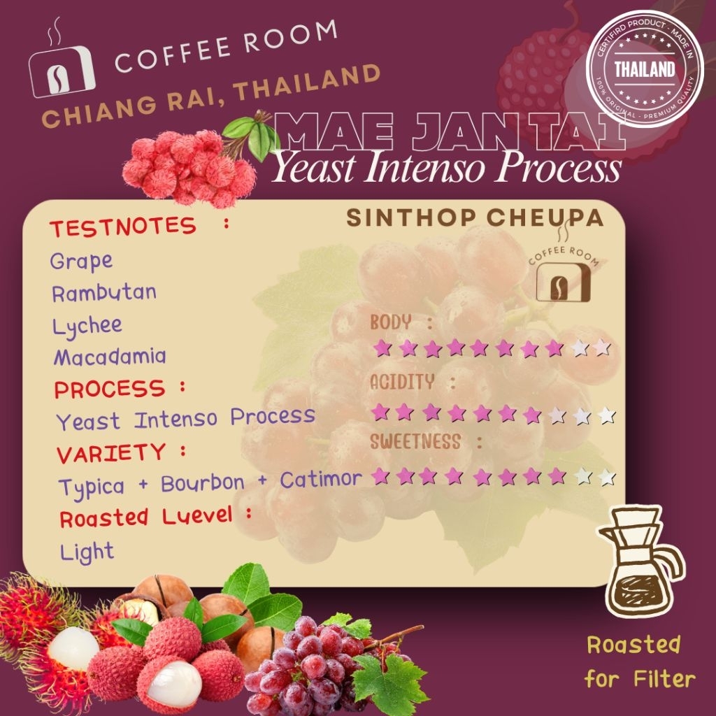Coffee Room | MAE JAN TAI แม่จันใต้ | 🇹🇭 Thailand | Yeast Intenso Process |กาแฟคั่วอ่อนา Body แน่นแบ
