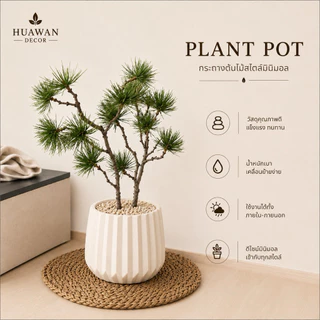 HUAWAN DECOR ต้นสน กิ่งสน ปลอม พร้อมกระถางมินิมอลสีขาวแถมฟรีหินโรยกระถาง