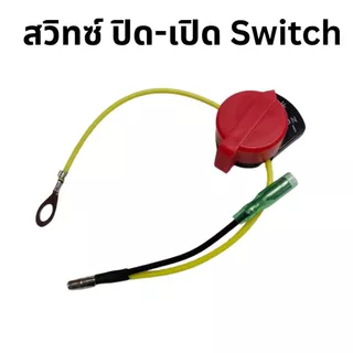 สวิตช์ เปิด-ปิด เครื่องยนต์เบนซิน 5.5 6.5 GX160 GX168 SINSHOP
