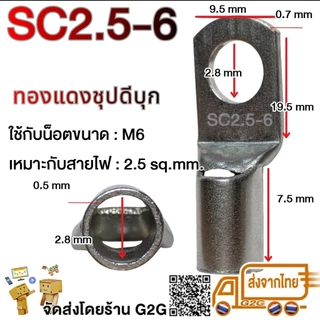 G2G หางปลา SC ทองแดงชุบดีบุก 1.5-50 sq.mm / ทรงยุโรป / รุ่นหนา / รูน็อต 4-12mm