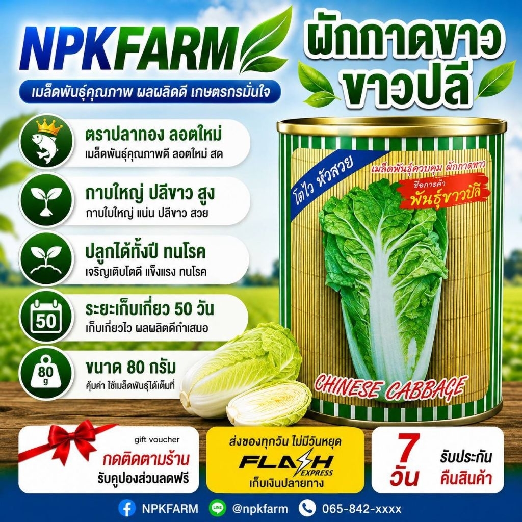 ปลาทอง ผักกาดขาว ขาวปลี [ขนาด 80 กรัม] หมดอายุ 10/2570 โตไว กาบใหญ่ ปลีขาว ห่อแน่น ทนทานโรค ขายง่าย