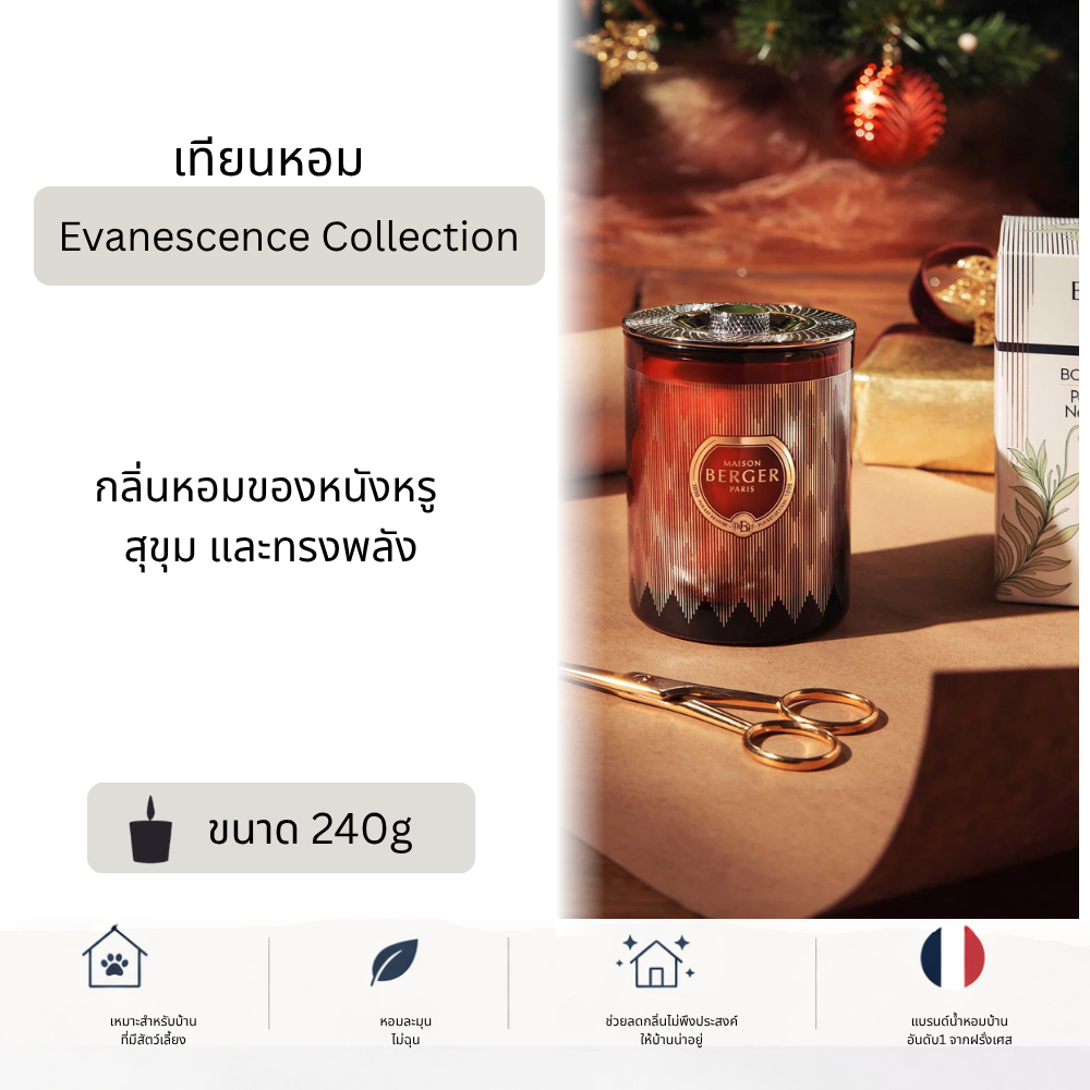 Maison Berger Paris, Evanescence Scented Candle 240g, เทียนหอม เทียนธรรมชาติ เทียนอโรม่า เทียนหอมฝรั่งเศส บ้านหอม