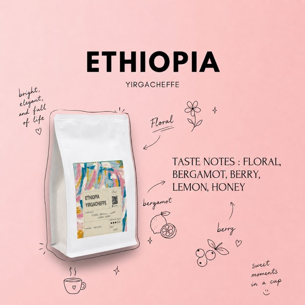 Ethiopia Yirgacheffe Natural G2 🌸🌼