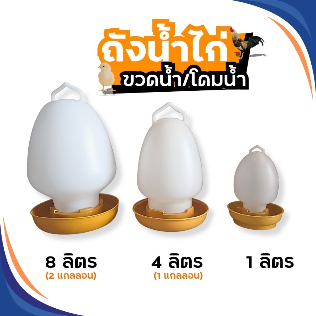 โดมน้ำไก่/ขวดน้ำไก่ 3 ขนาด 1,4,8 ลิตร