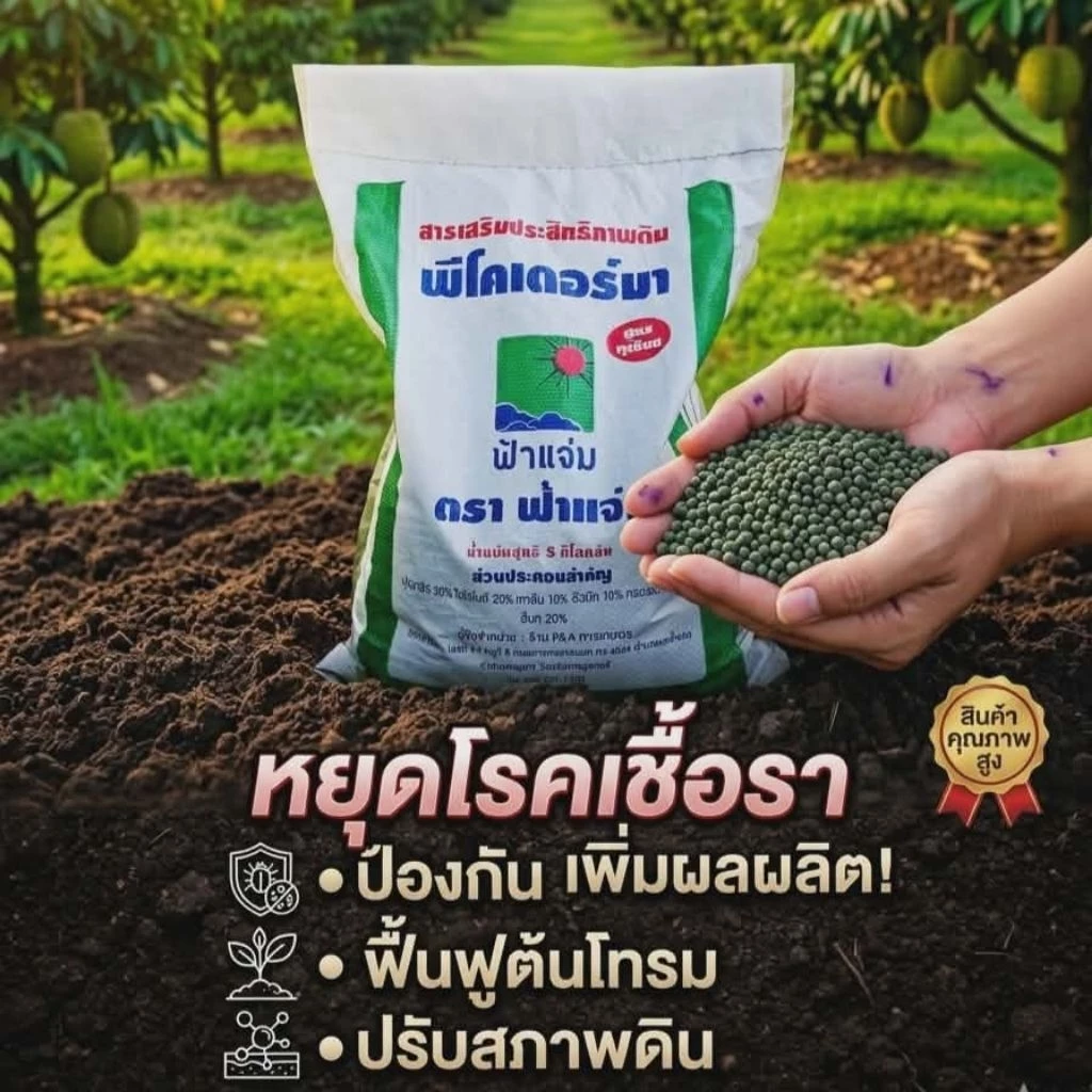 พีโคเดอร์มา ไตรโคเดอร์มาอัดเม็ด ตราฟ้าแจ่ม (ถุงละ 5 กิโลกรัม จำนวน 1 ถุง) ใช้ป้องกัน รักษาเชื้อราโรคพืชทางดิน