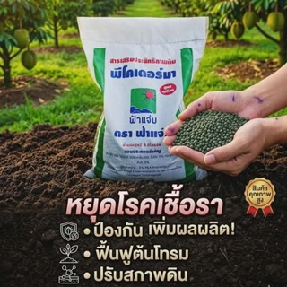 พีโคเดอร์มา ไตรโคเดอร์มาอัดเม็ด ตราฟ้าแจ่ม (ถุงละ 5 กิโลกรัม จำนวน 1 ถุง) ใช้ป้องกัน รักษาเชื้อราโรคพืชทางดิน