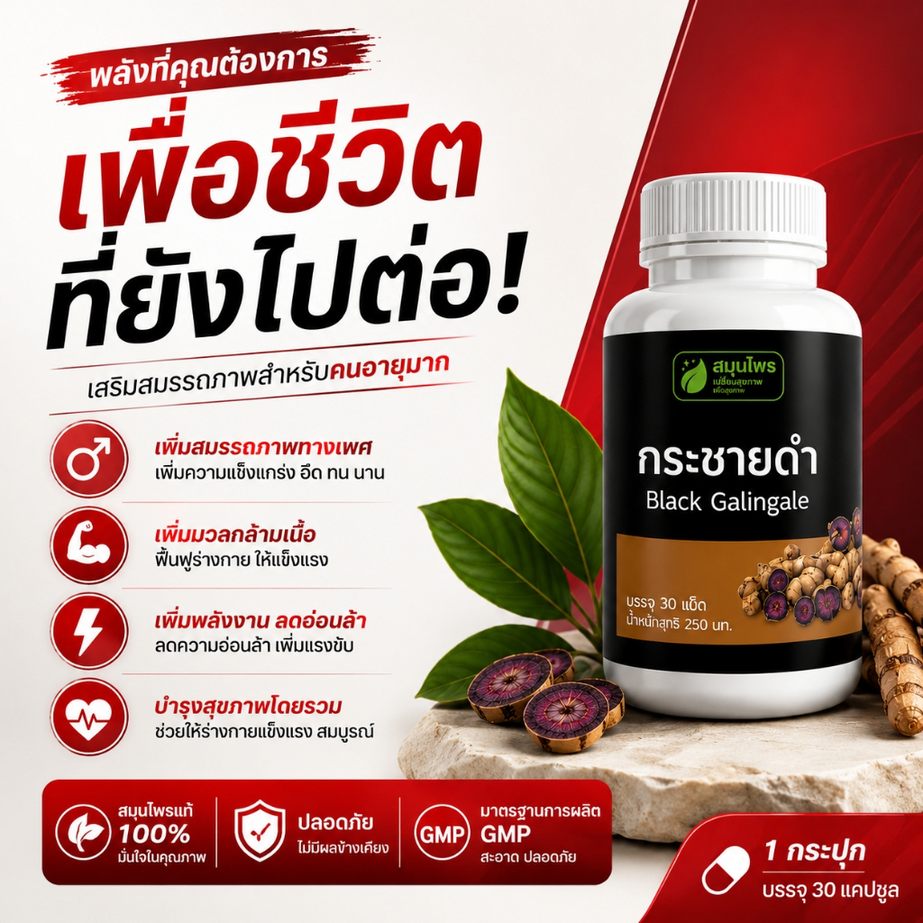 [Black Ginger หรือ Black Galingale] โสมกระชายดำแท้