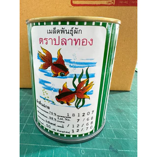เมล็ดพันธุ์คื่นฉ่าย ตราปลาทอง 50กรัม เมล็ดพันธุ์ผัก คื่นฉ่าย คื่นช่าย ขึ้นฉ่าย ขึ้นช่าย