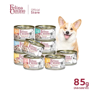 Felina Canino (สำหรับสุนัข) ไม่เติมเกลือ ไม่ใส่วัตถุกันเสีย ( ขนาด 85 กรัม / 1 กระป๋อง ) (สามารถเลือกรสชาติได้)