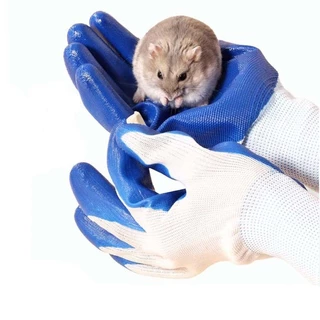 ถุงมือกันกัดสำหรับสัตว์เลี้ยง กระรอก ชูก้า ชินชิล่า หนู แฮมเตอร์ เม่น นกแก้ว ถุงมือจับนก ถุงมือยางกันกัด