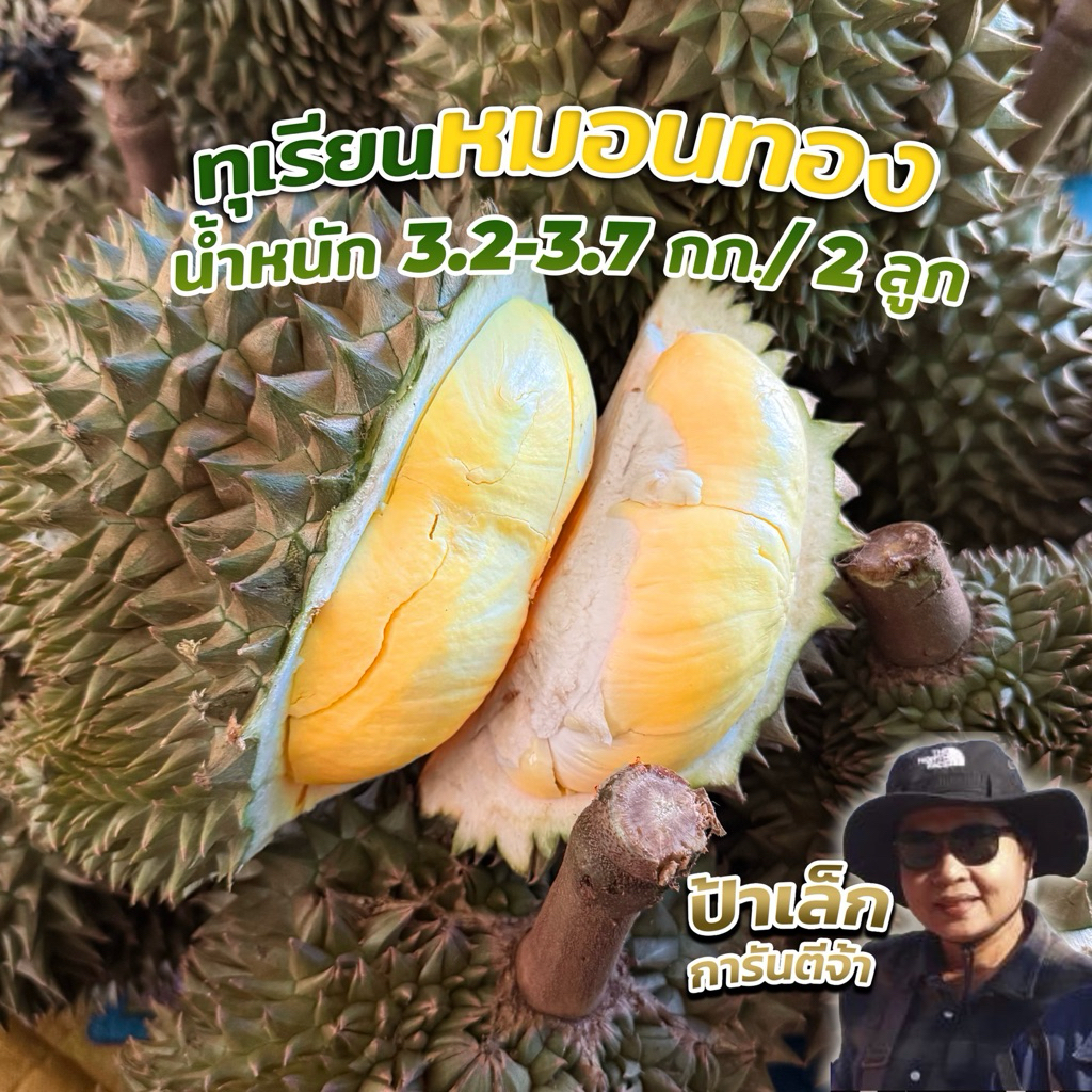 ทุเรียนหมอนทอง 2ลูก น้ำหนักรวม 3.2-3.7 กิโลกรัม