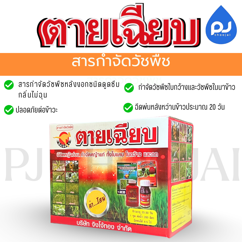 ตายเฉียบ รวมชุดสารกำจัดวัชพืชในนาข้าว