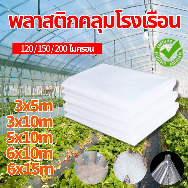 พลาสติกโรงเรือน พลาสติกใส พลาสติกคลุมโรงเรือน กันฝน greenhouse หนา 200 ไมครอน UV7% โรงเรือนแคคตัส พลาสติกปูบ่อ กันสาด