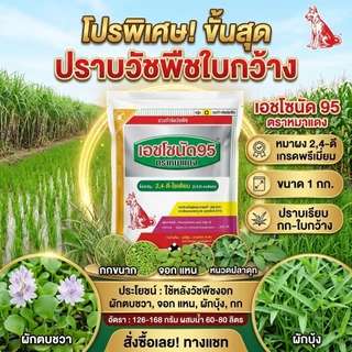 เอชโซนัด 95 ตราหมาแดง ขนาด 1 กก. ใบกว้าง หมาผง 2-4-ดี หมาแดงผง 2,4-ดี โซเดียม ซอลต์