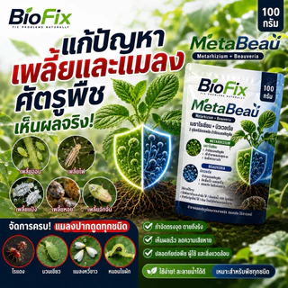 BioFix MetaBeau เมธาไรเซียม ผสม บิวเวอร์เรีย 50g. 100g.