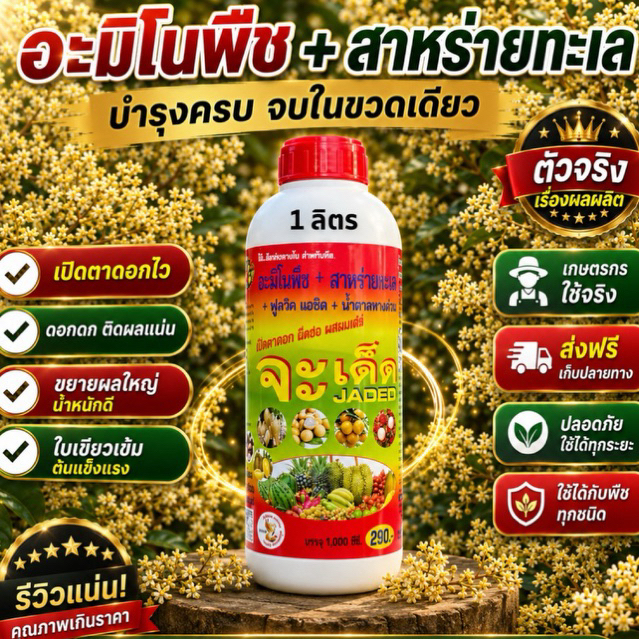 จะเด็ด เปิดตาดอก สะสมอาหาร เปิดตาดอก ยืดช่อ
