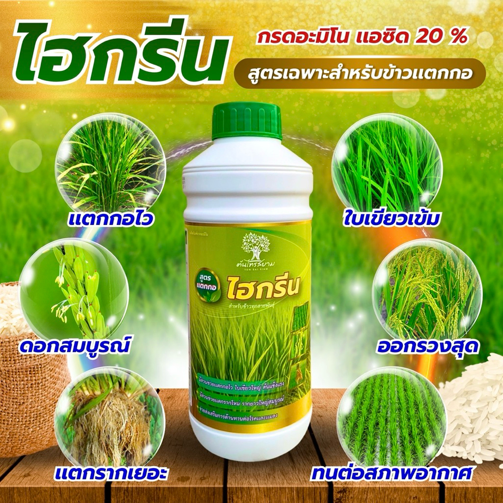 ไฮกรีน ข้าวเเตกกอสารสกัดเข้มข้น ขนาด 1 ลิตร เเตกกอไว ใบเขียวเข้มใหญ่ ออกรวงสุดดอกสมบูรณ์เเตกรากเยอะ ทนต่อสภาพอากาศ