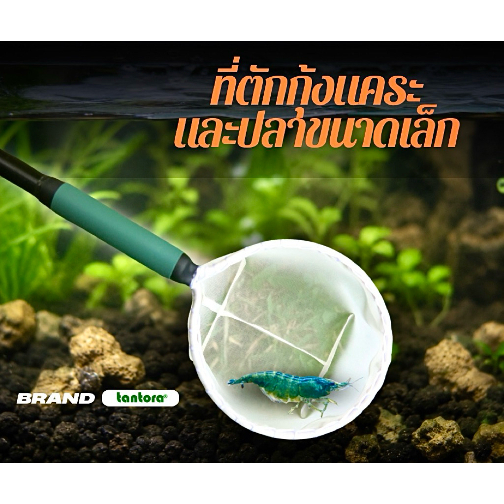 ที่ตักกุ้งแคระและปลาขนาดเล็ก Tantora Shrimp Net 3D ไม่พับ ไม่ทับตัวกุ้งเวลาตัก ทนทาน น้ำหนักพอเหมาะ